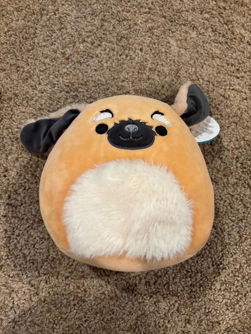 7 in Bobzi the Dog Squishmallow NWT